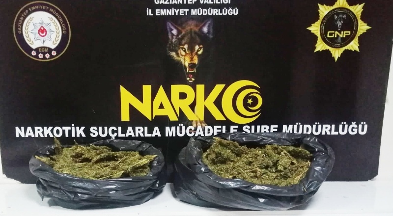 Operasyonda 13 şüpheli gözaltına alındı