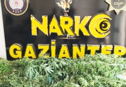 Operasyonda 15 şüpheli şahıs gözaltına alındı