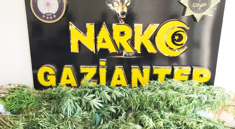 Operasyonda 15 şüpheli şahıs gözaltına alındı