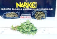 Operasyonda 9 şüpheli şahıs gözaltına alındı