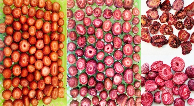 Organik meyvelerin kalitesi arttırılacak