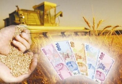 Organik Tarım Bilgi Sistemi’ne kayıtlı çiftçilere dekar başına 70 TL destek ödenecek