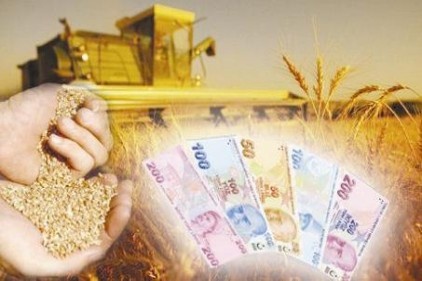 Organik Tarım Bilgi Sistemi&#8217;ne kayıtlı çiftçilere dekar başına 70 TL destek ödenecek