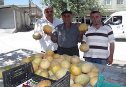 Organik tarım tavsiye ettiler 
