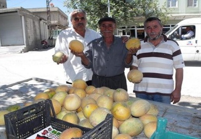 Organik tarım tavsiye ettiler 
