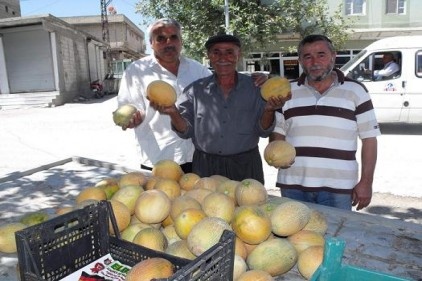 Organik tarım tavsiye ettiler 