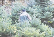 Orman Genel Müdürlüğü envanter çıkarmamış