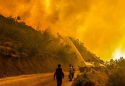 Orman İşletme Müdürlüğü, yangınlardan önce çıktığı ihalenin sözleşmesini yangından sonra imzaladı
