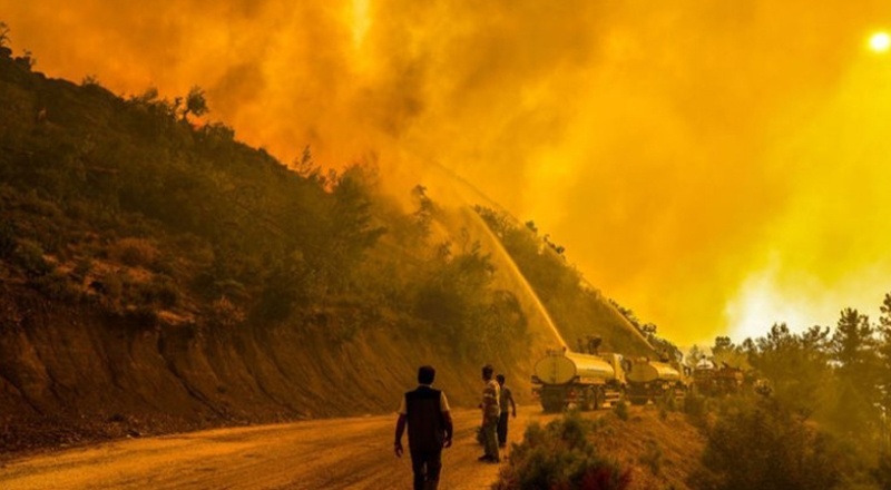 Orman İşletme Müdürlüğü, yangınlardan önce çıktığı ihalenin sözleşmesini yangından sonra imzaladı