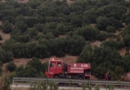 Orman yangını korkuttu 
