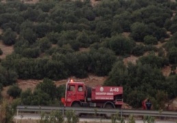 Orman yangını korkuttu 