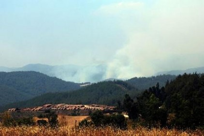 Orman yangını sınırı tehdit ediyor