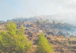 Orman yangınında 2 hektarlık alan zarar gördü