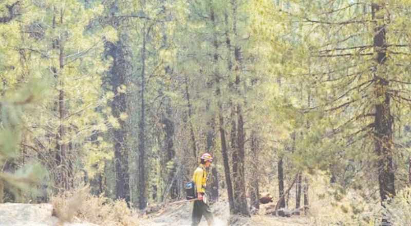 "Orman yangınları, her geçen gün daha büyük bir alanı tahrip ediyor"