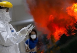 Orman yangınları ve Covid-19 ilişkisi