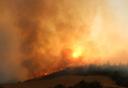 Orman yangınlarına karşı direnç nasıl geliştirilir, yangınların şiddeti nasıl azaltılabilir?