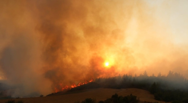 Orman yangınlarına karşı direnç nasıl geliştirilir, yangınların şiddeti nasıl azaltılabilir?