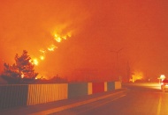 Orman yangınlarında 10. gün: 6 ilde 14 yangın devam ediyor