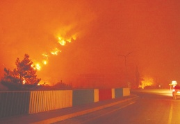 Orman yangınlarında 10. gün: 6 ilde 14 yangın devam ediyor