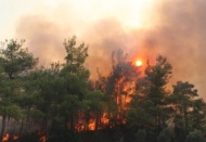 Orman yangınlarında 13. gün: 2 ilde 5 noktada yangınlar devam ediyor