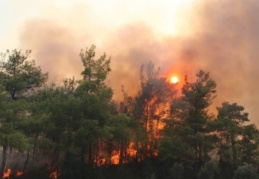 Orman yangınlarında 13. gün: 2 ilde 5 noktada yangınlar devam ediyor