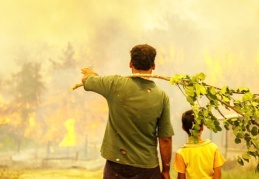 Orman yangınlarından etkilenen yerler 'Genel Hayata Etkili Afet Bölgesi' ilan edildi