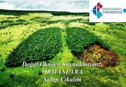 “Ormanlar bir ülkenin akciğerleridir”