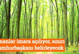 Ormanlar imara açılıyor, sınırı Cumhurbaşkanı belirleyecek