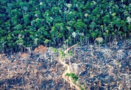 Ormanları korumak itfaiyeci kaskı takıp poz vermekle olmuyor