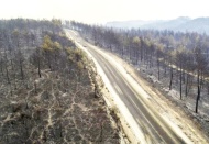 Ormanların talan edilmesinin yolu açıldı