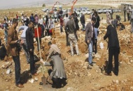 Ormanlık alan için 47 bin fidan toprakla buluşturuldu