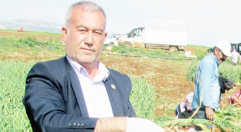 Orta kuvvette zirai don tehlikesi bekleniyor