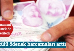 Örtülü ödenek harcamaları arttı