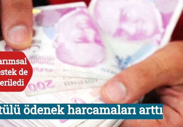Örtülü ödenek harcamaları arttı