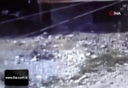 Örümcek adam gibi hırsız