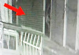 Örümcek adam gibi tırmanan hırsız yakalandı