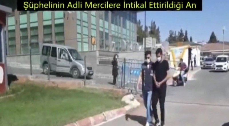 Örümcek gibi tırmanarak hırsızlık yaptı