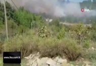 Osmaniye'de orman yangını