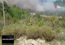 Osmaniye'de orman yangını