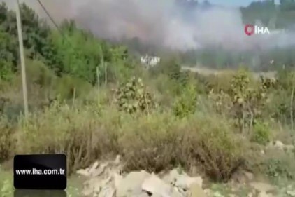 Osmaniye&#039;de orman yangını