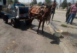 Otobanda at arabası ile yolculuk