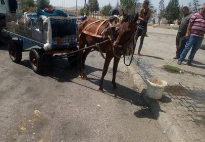 Otobanda at arabası ile yolculuk