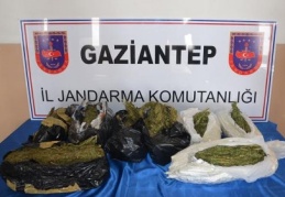 Otobüste kubar esrar ele geçirildi