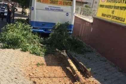 Otobüsün freni boşaldı faciadan dönüldü 