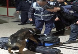 Otogarda ele geçirilen 25 Suriyeli Antep’ e alınmadı