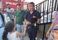 Otomobilin tekerine sıkışan kedi itfaiye ekipleri tarafından kurtarıldı
