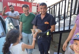 Otomobilin tekerine sıkışan kedi itfaiye ekipleri tarafından kurtarıldı 