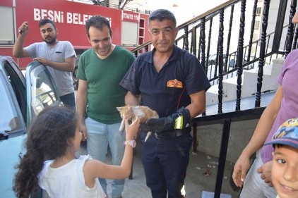 Otomobilin tekerine sıkışan kedi itfaiye ekipleri tarafından kurtarıldı 