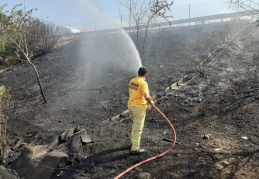 Otoyol kenarında çıkan örtü yangını büyümeden söndürüldü