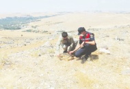 Özel düzenekle saka kuşu avlayan kaçak avcılar yakalandı